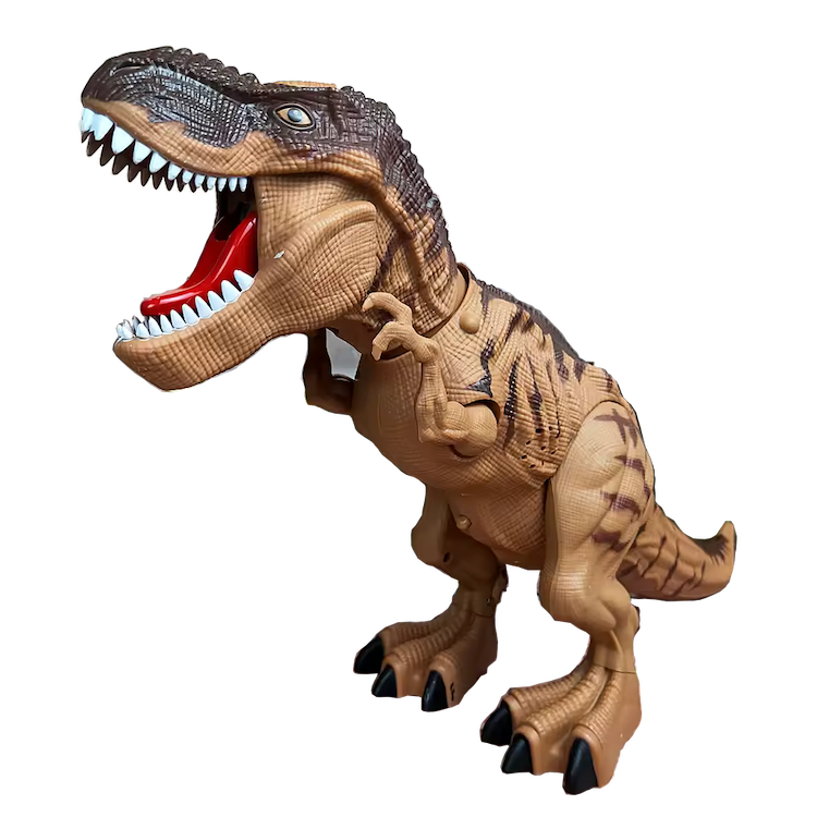 Descubre lo extraordinario en nuestra tienda